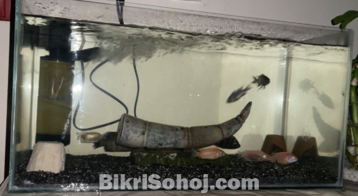 Big size crystal aquarium